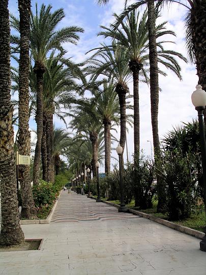 IMGP8038.JPG - The famous ' Paseo de la Explanada' Alicante