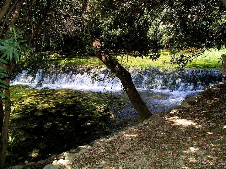 39.JPG - Les Fonts de Algar.This pool and fall is so clear you can see the beautiful fish, and water creatures below.