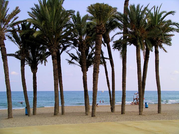 IMGP7510.JPG - Villajoyosa beach.